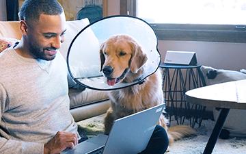 A man sits on the floor with his laptop, petting his golden retreiver who is wearing a cone around his neck
